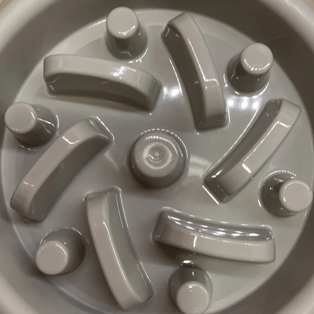 Maze slow eater dog bowl